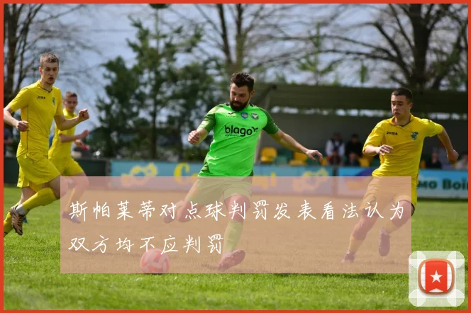 斯帕莱蒂对点球判罚发表看法认为双方均不应判罚
